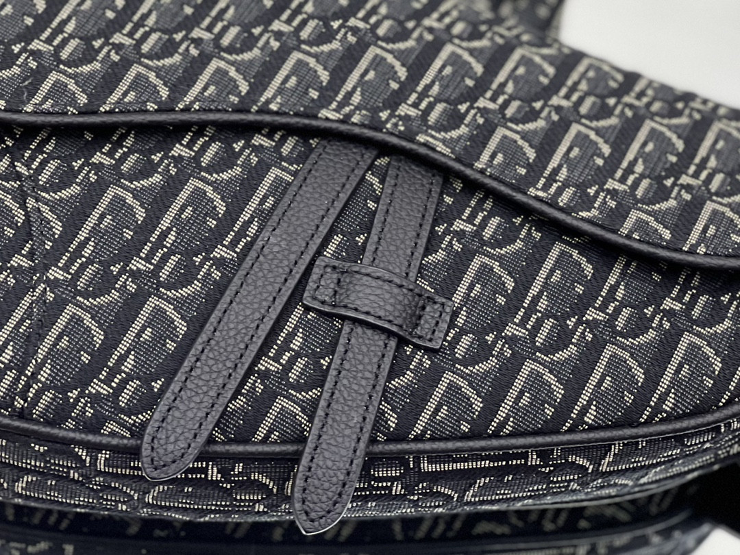 ch**an D*or saddle crossbody bag oblique canvas 26 x 19 x 4.5 cm